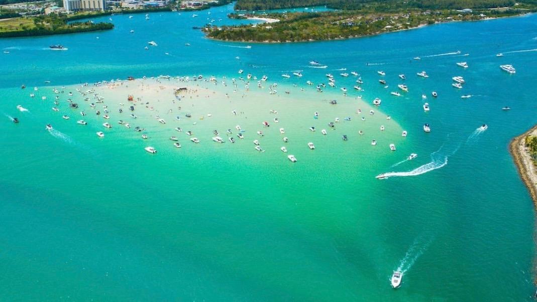 Biscayne Bay Boat Tour — Sandbars, Star Island & Miami | WAVELINE